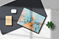 苹果设备逼真阴影iPad Pro平板电脑展示样机mockups (PSD,PDF)designshidai_yj1054