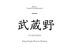 咚咚视野采集到有逼格的字体