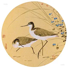 张晓彦，1975年出生于河南洛阳。天津市美术家协会会员、天津市青年美术家协会会员。作品《晨风》入选&quot;庆祝建国五十周年天津市美术作品展&quot;。《嬉戏》获&quot;天津市首届花鸟画展&quot;三等奖。《槐荫沐清风》在&quot;纪念毛泽东同志《在延安文艺座谈会上的讲话》六十周年全国美术作品展&quot;中获优秀奖。《柳荫深处蝉鸣声》在&quot;全国第五届工笔画大展&quot;中获优秀奖。《晨露》入选&quot;全国当代花鸟画艺术大展&quot;。《雨后初晴》获第十届全国美展银奖。《晨》在