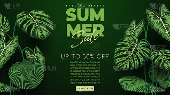 夏季销售横幅与热带树叶背景。矢量图