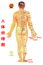 人体经络 (2)
