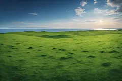 草坪自然风光摄影图