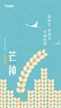 芒种
