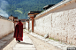 西藏、喇叭、佛教文化