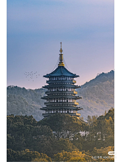 驯养runing采集到摄影（大众）
