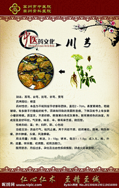 iQitzW0S采集到中药