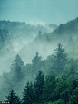 VCG41N1002239196