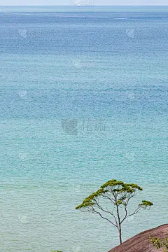 树小，海大