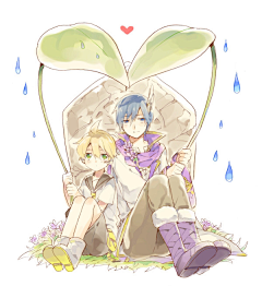 Azurecherry采集到VOCALOID