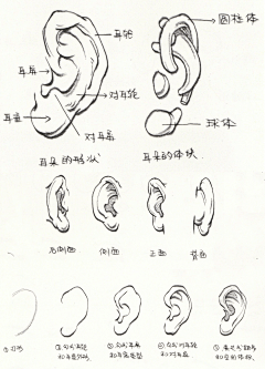 画画的清白采集到【教程】人物