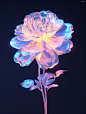 peace_and_love_Transparent_glass_texture_peony_solid_color_outl_6