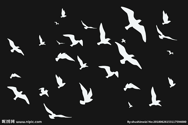 飞鸟剪影