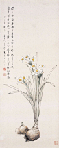 【中国四大名花国画赏】水仙——凌波仙子生尘袜，水上盈盈步微月。水仙花寓意丰富，是友谊、幸福、吉祥的象征。被人们视为吉祥、美好、纯结、高尚的象征，是“岁朝清供”之佳品。 配图精品牡丹分别来自：陈洪绶；方介堪；来楚生；黎葛民；陆恢；钱 载；唐 云；颜伯龙 。