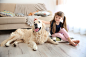 Scratch-Resistant-Flooring-Featured-Image