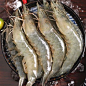 海虾速冻超大大虾王20-30规格对虾整箱1800g发货加2干冰顺丰包邮