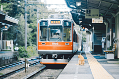 hidepink采集到素材–街景小场景