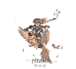 pirate