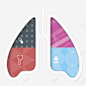 人体肺器官卡通插画高清素材 免费下载 设计图片 页面网页 平面电商 创意素材 png素材