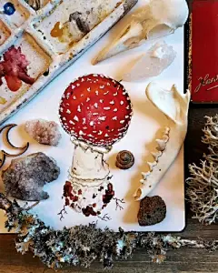 水彩花卉植物 - 高清图片，堆糖，美图壁纸兴趣社区