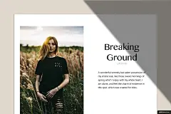 浪漫的花卉 花卉植物阴影 都市阴影形状 浪漫的花卉植物形状 浪漫的都市阴影形状 花卉边框植物花卉插画绘画