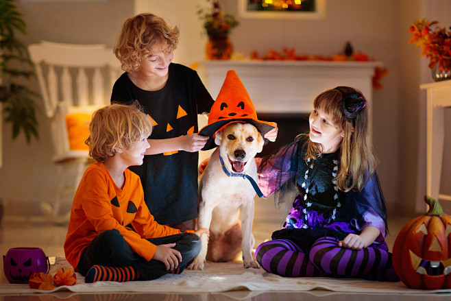 Halloween 宠物场景 (22)