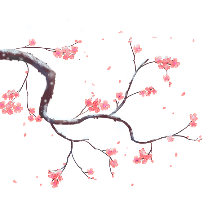 花枝素材