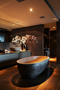 Contemporary interior classy bathroom