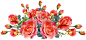 roses-3808107_960_720