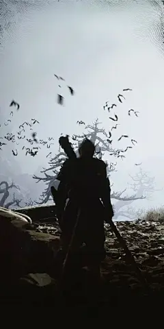 黑神话悟空  壁纸  转自https://weibo.com/6012712889/OtgkI9kNF?refer_flag=1001030103_