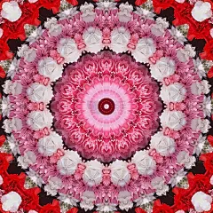 美丽的粉红色和白色花型抽象曼荼罗背景图像。家庭装饰和婚礼背景图像。纺织品，地毯，门垫和瓷砖背景图像打