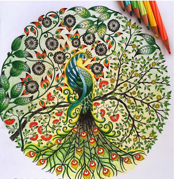 秘密花园涂色样本及成品作品参考展示搜狐