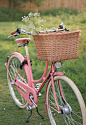 乡村风格，#插花#，单车，脚踏车