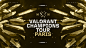 VCT25 | Champions Paris :: Behance