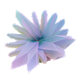 dashu555 (41)