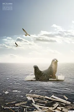 动物栖息环境保护海报PSD素材_VIP素材_乐分享素材网_psd素材_平面素材_png素材_免费素材_ppt模板_灵感库