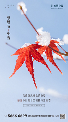 ganma886采集到小雪