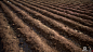 Tilled Soil- Substance Designer, Justin Wagner : 100% Substance Designer - Rendered in Marmoset 
Available on Gumroad: https://gum.co/mdlJE