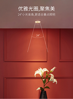 凡素Yile采集到手机端海报/首页/详情