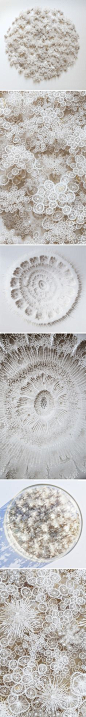 Incredible organic paper cuttings by Rogan Brown. http://roganbrown.com/section/327584.html