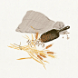 Ooh Art Saturday | 鸟川芥 : 喜欢鸟川芥似乎是一件不需要​太多言语去表达的事情。你看着他的作品，细细抚摸画面和肌理，心就会随着安静下来、放空一切，耳边是悠扬的​音乐伴随着潺潺溪水。