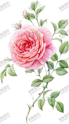 创意花 【酷图网】创意花,花边,手绘花,手绘画,粉色花,月季花,花儿,珠宝,渐变,花,鲜花,水彩花,花朵,复古花,水墨花,水彩,水墨,定位花,山水画,名片,平面,图案,封面,背景,数码印花,花海,花纹,婚礼素材,婚礼,结婚,春天,春天素材,夏天,花素材,花纹背景,粉色,浪漫,唯美,爱,爱情,婚礼设计