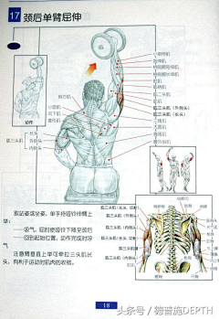 小园墙体彩绘采集到运动健身