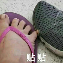 晚芸零采集到表情包