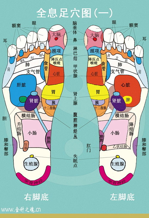 长寿回春功中级图文普及版相关图片