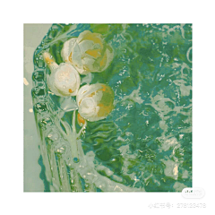 羡羡的小耳朵喔采集到光影 色彩