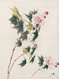 俞致贞、刘力上夫妇的绘画作品、美图美画、俞致贞、刘力上
