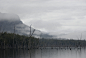 lake_rowallan_mist.jpg (3000×2008)