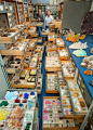 史密森尼學會 国立自然历史博物馆 藏品展示