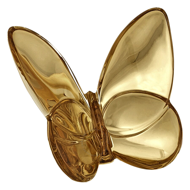 蝴蝶