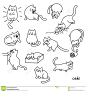 萌宠Set of Cute Cat